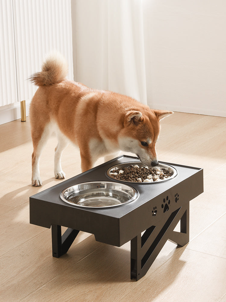 The Ultimate Companion for Pet Feeding: Stainless Steel Foldable Pet Feeding Bowl