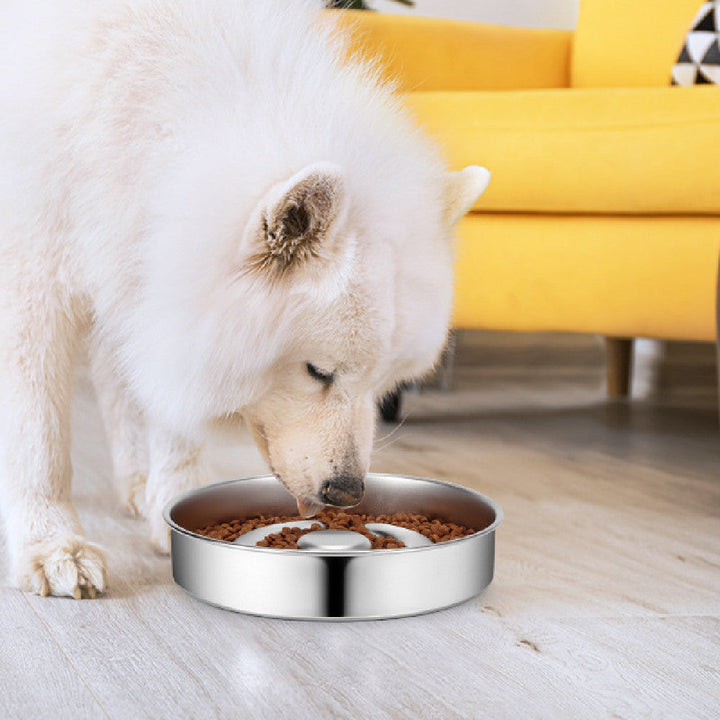 Why Your Pet Deserves the Best: The Stainless Steel Slow Feeding Pet Bowl