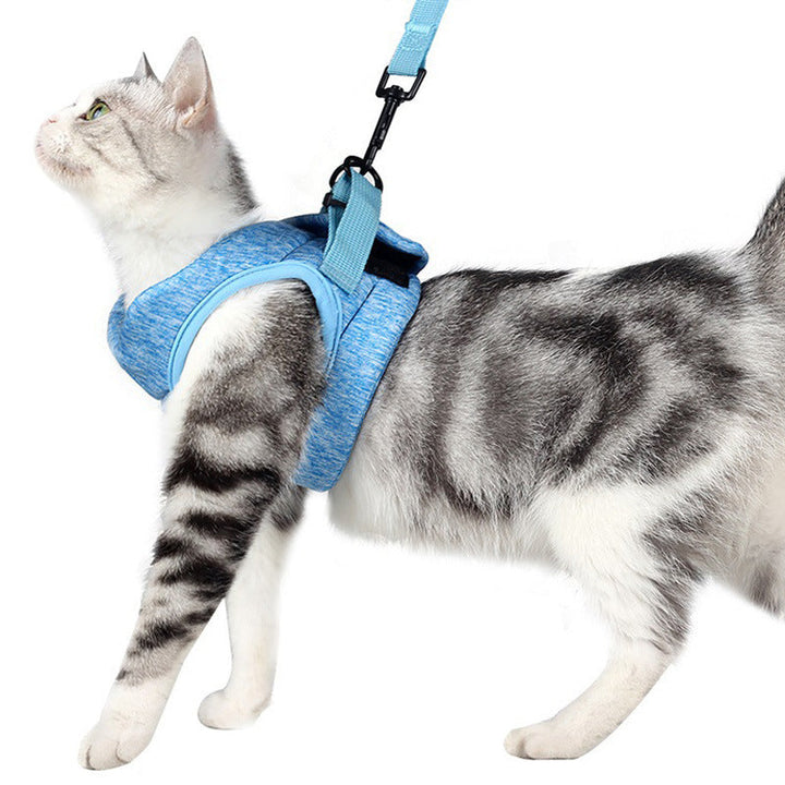 Enhance Your Cat's Adventures with the Breathable Lace Pet Chest Harness Leash