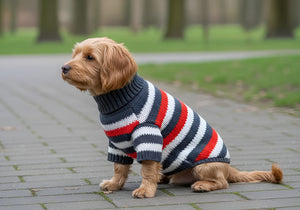 Fashion Meets Everyday Pet Comfort