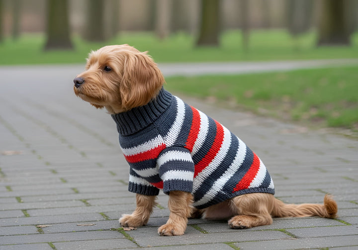 Fashion Meets Everyday Pet Comfort